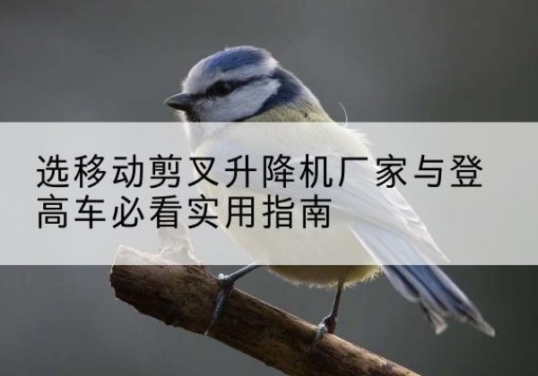 安宁电动升降机厂家-选移动剪叉升降机厂家与登高车必看实用指南