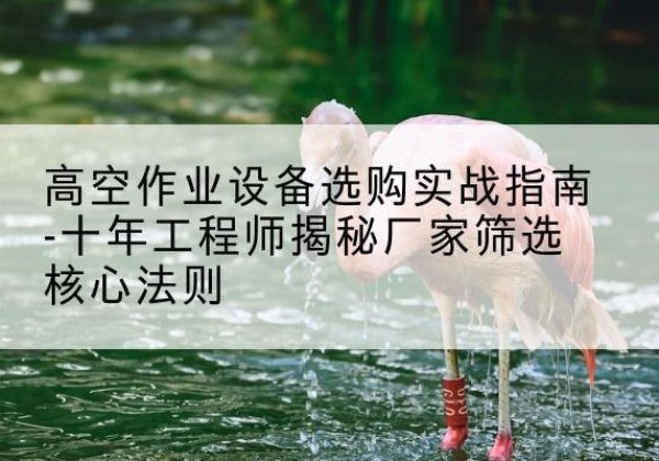 安宁剪叉式升降机厂家-高空作业设备选购实战指南-十年工程师揭秘厂家筛选核心法则
